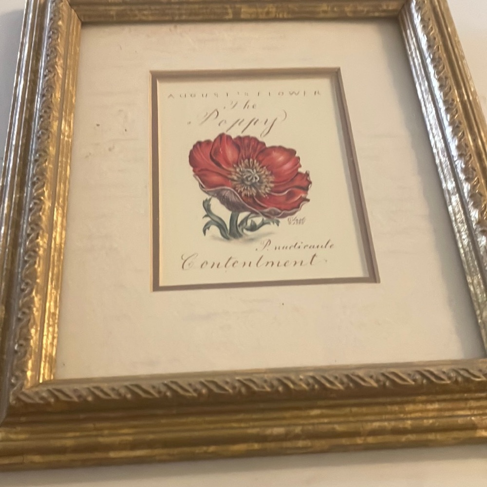Gold Framed Botanical Print with Red Flower